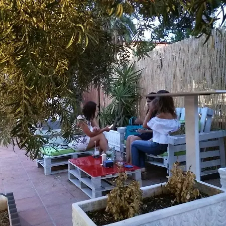 Nwt Paradise Urban * Alicante