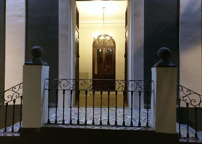 Nwt Paradise Urban Alicante