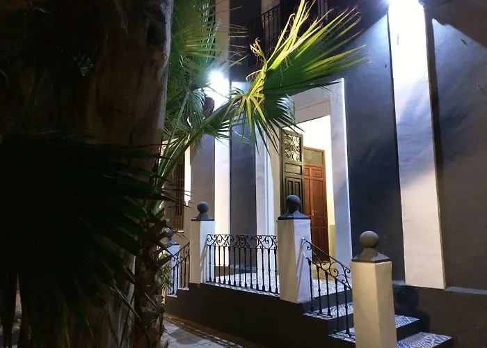 Nwt Paradise Urban *