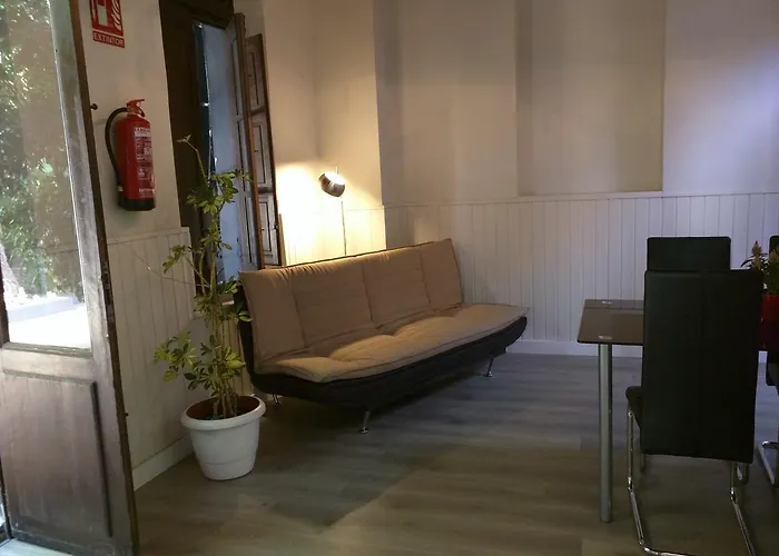 Nwt Paradise Urban * Alicante