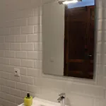 Nwt Paradise Urban Hostel