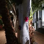 Nwt Paradise Urban Alicante