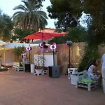 Nwt Paradise Urban Alicante