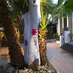Nwt Paradise Urban Hostel Alicante