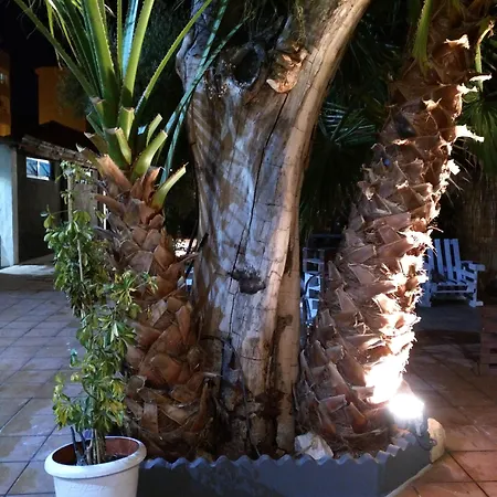 Hostel Nwt Paradise Urban Alicante