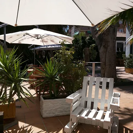 Nwt Paradise Urban Hostel Alicante