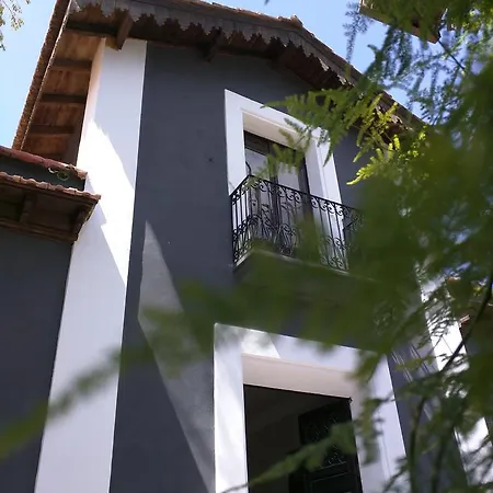 Nwt Paradise Urban Hostel Alicante