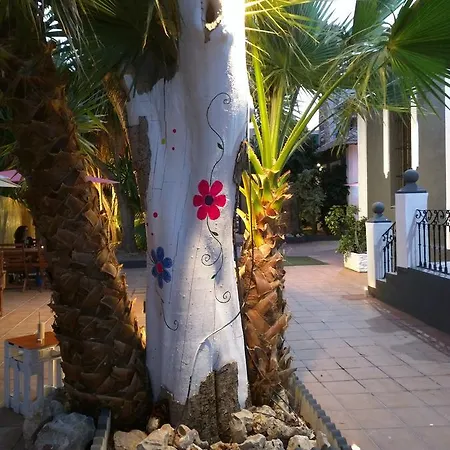 Nwt Paradise Urban Hostel Alicante