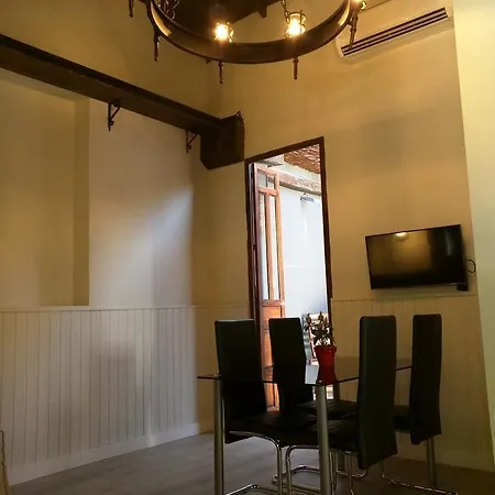 Nwt Paradise Urban Hostel Alicante