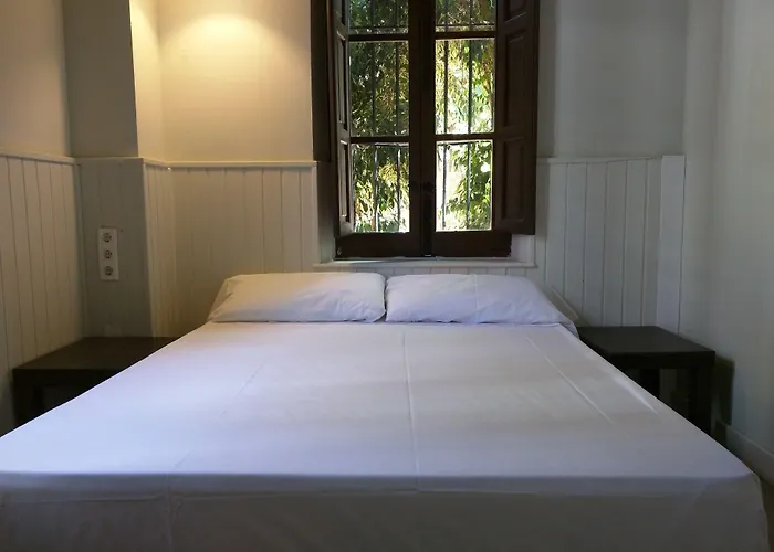 Hostel Nwt Paradise Urban Alicante