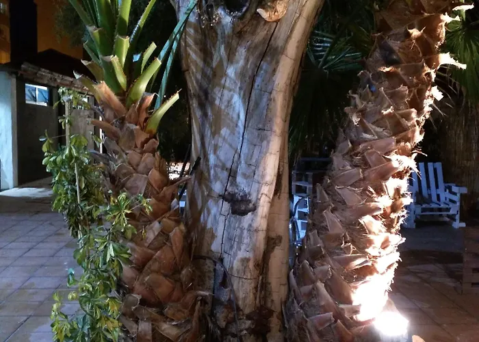 Hostel Nwt Paradise Urban Alicante