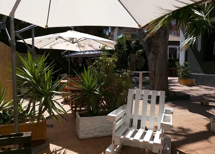 Nwt Paradise Urban Hostel Alicante
