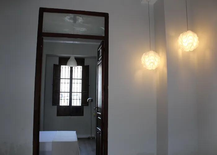 Nwt Paradise Urban Hostel Alicante