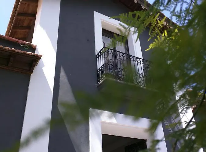 Nwt Paradise Urban Hostel Alicante