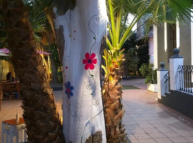 Nwt Paradise Urban Hostel Alicante
