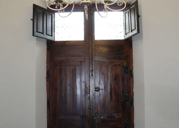 Nwt Paradise Urban *