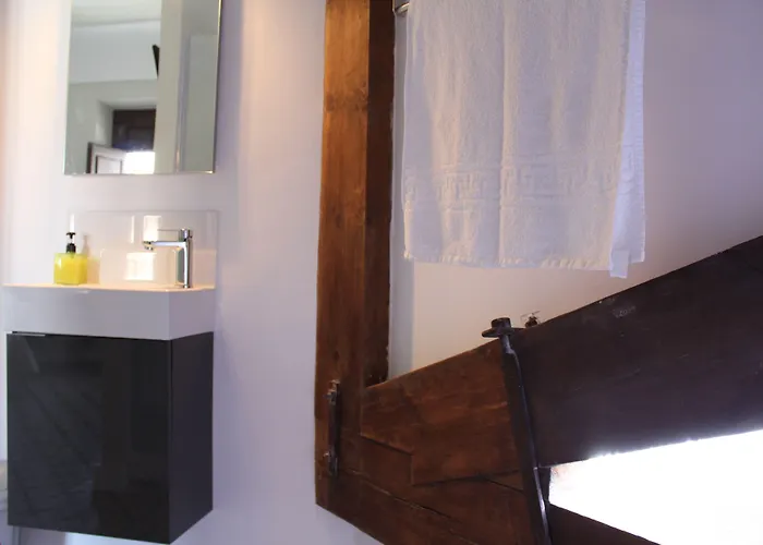 Nwt Paradise Urban Аликанте