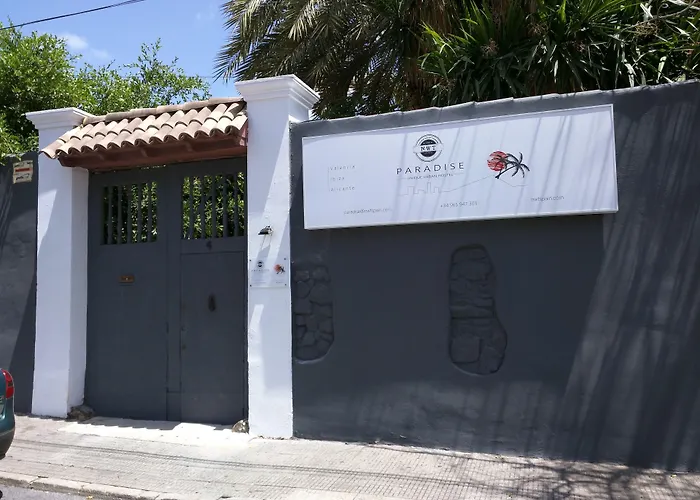 Nwt Paradise Urban Аликанте