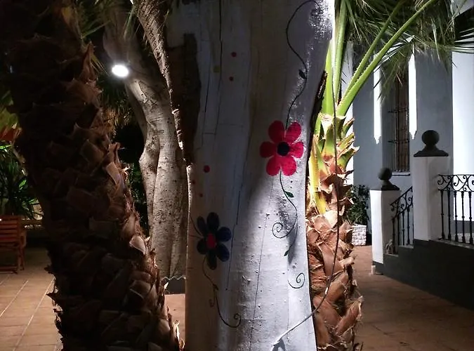 Nwt Paradise Urban Аликанте