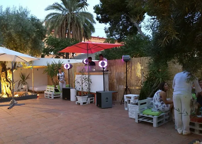 Nwt Paradise Urban Аликанте