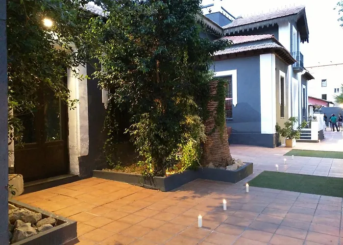 Nwt Paradise Urban *