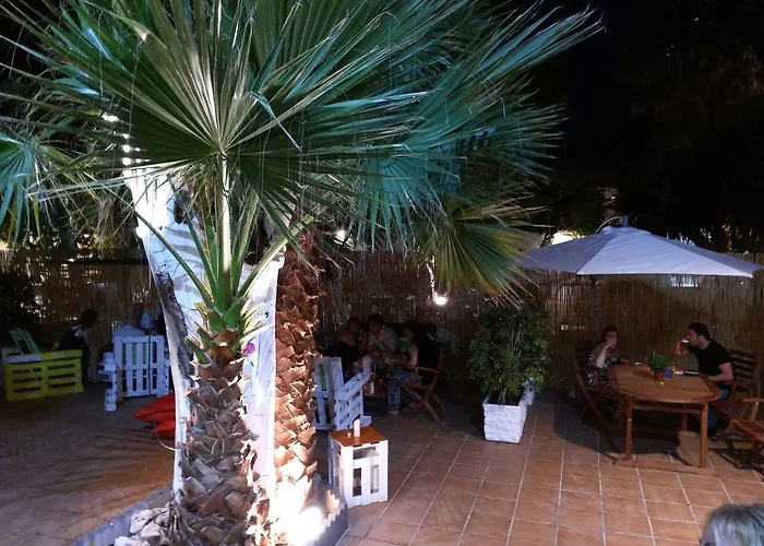 Nwt Paradise Urban *