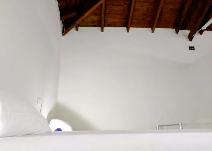 Nwt Paradise Urban Аликанте